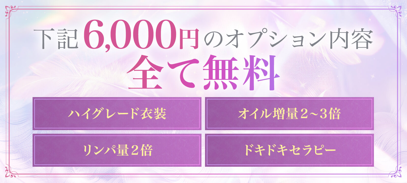 6000円のオプション内容全て無料
