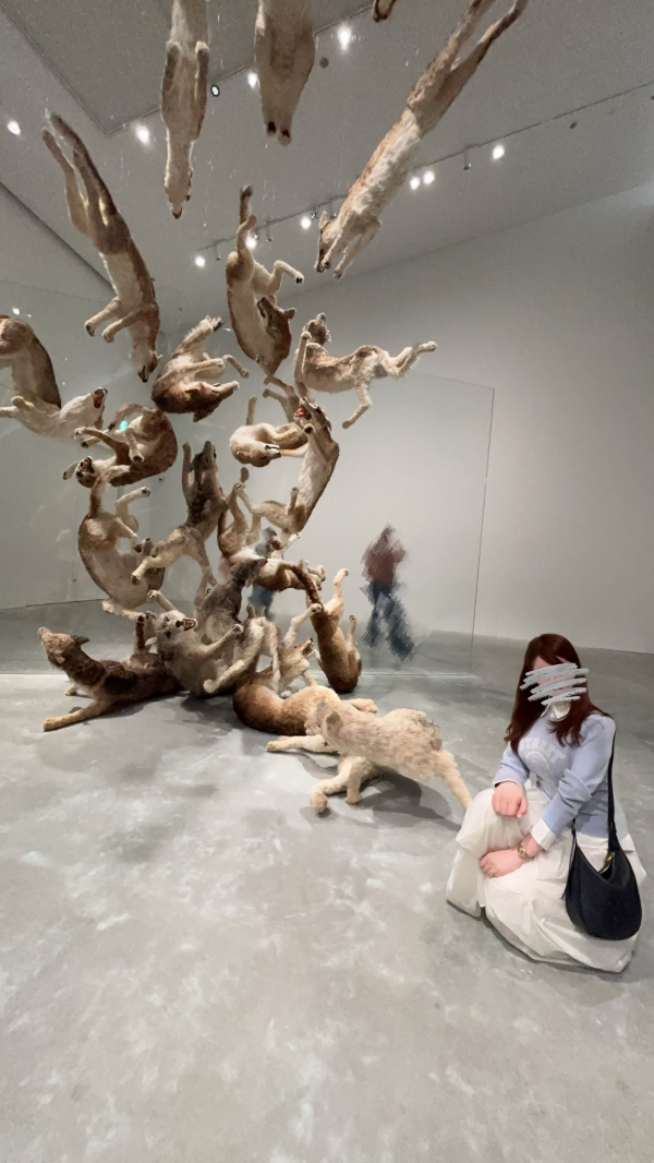 一条りんの食べログ【北海道計画編】画像