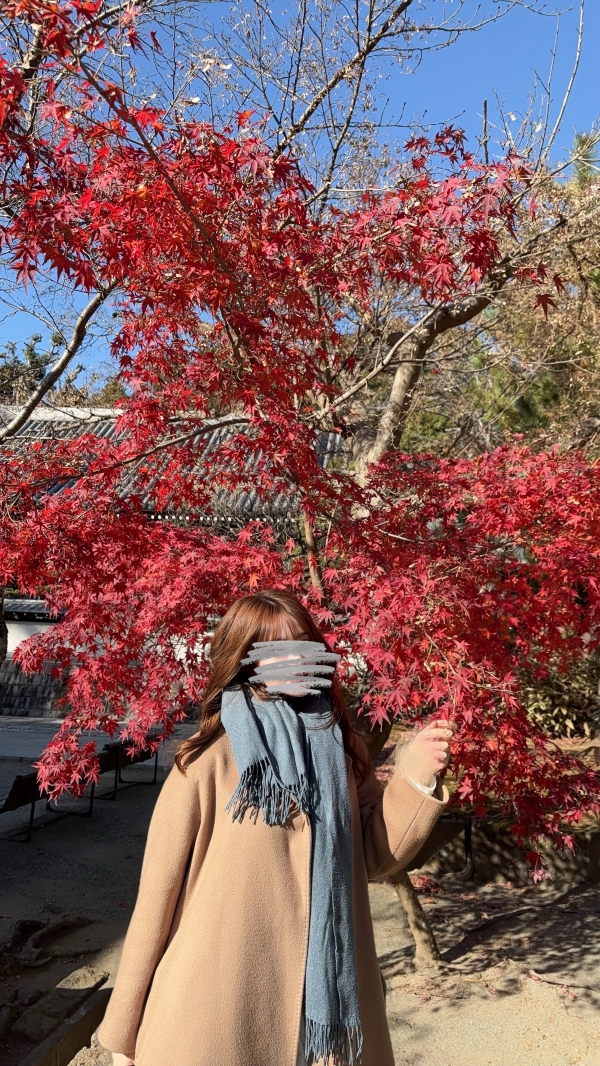 一条りんの食べログ画像